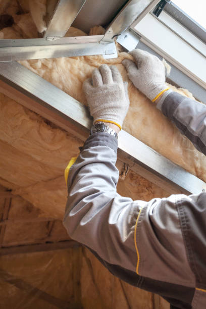 Best Attic Insulation Installation  in Jarrell, TX