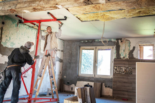Best Wall Insulation Contractor  in Jarrell, TX