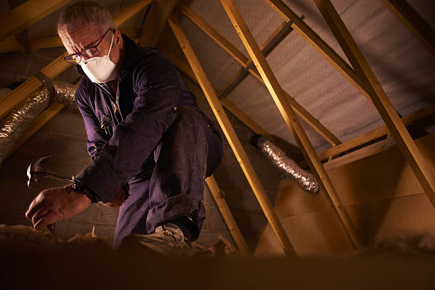 Best Blown-in Insulation  in Jarrell, TX